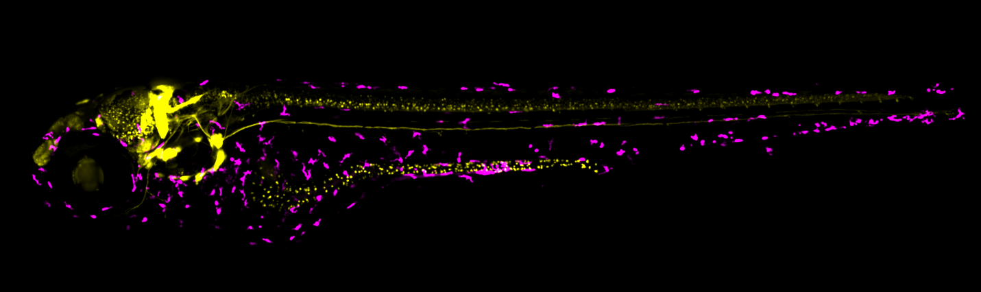 chemical microbiom graph